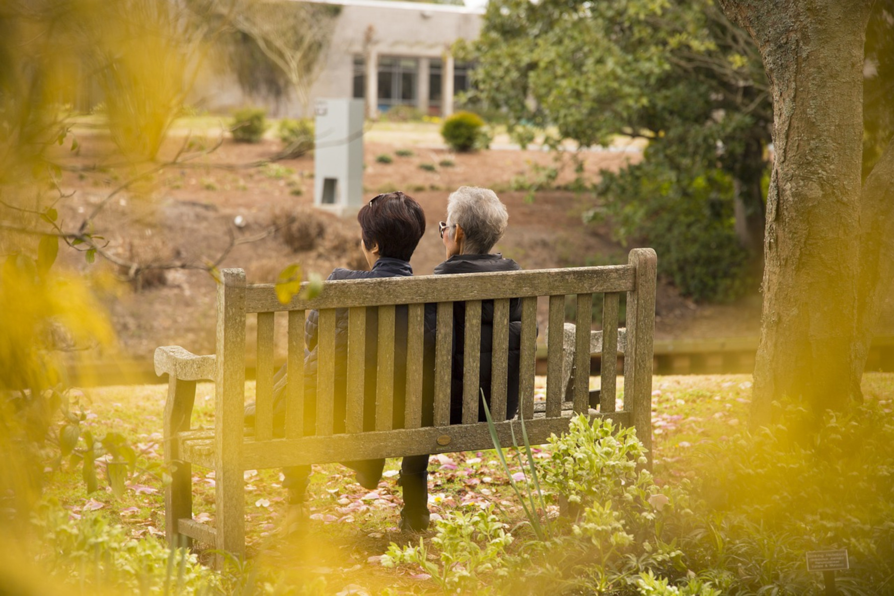 Corso FAD Alzheimer: come parlare con una persona con demenza CORSO NON ECM